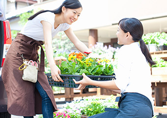 生花卸売事業